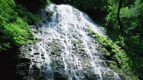 智能系统电子节能